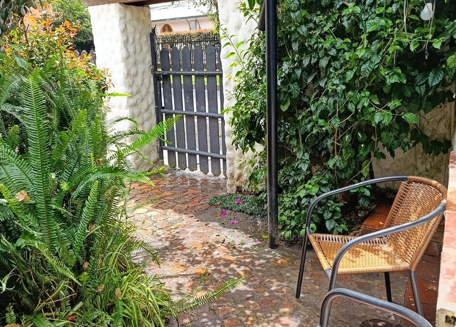 Homestay szállás Suites Acogedoras En Hermosa Casa Bogotá